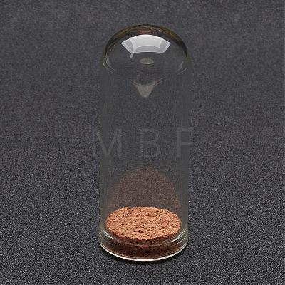 Glass Dome Cloche Cover AJEW-P043-1