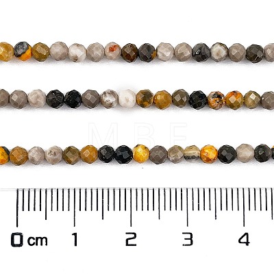 Natural Bumblebee Jasper Beads Strands G-L597-C03-01-1