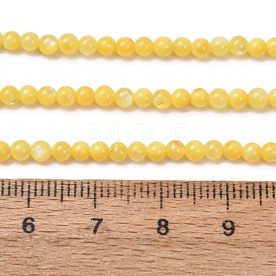Dyed Natural Freshwater Shell Beads Strands SH-CBA2978-07C-01-1