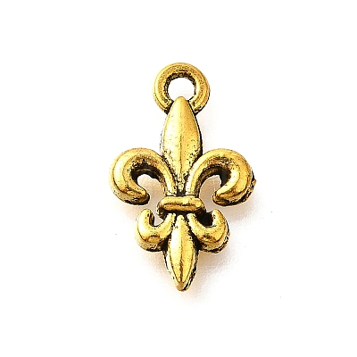Tibetan Style Alloy Pendants X-TIBE-L008-15AG-1