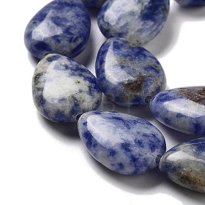 Natural Blue Spot Jasper Beads Strands G-P528-L17-01-1