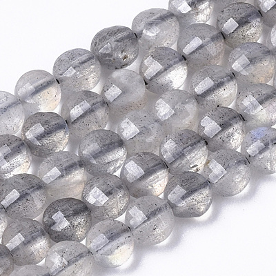 Natural Labradorite Beads Strands G-R462-008-1