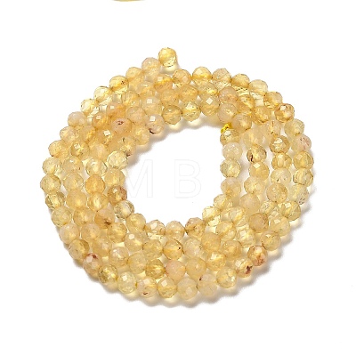 Natural Citrine Beads Strands G-Z074-A03-02-1