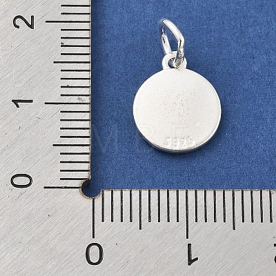 925 Sterling Silver Charms STER-S009-12D-S-1