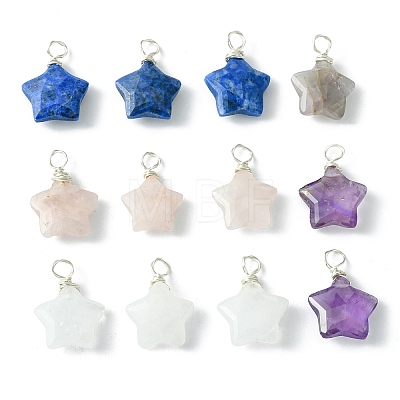 12Pcs Natural Mixed Stone Pendants G-DC0001-12-1