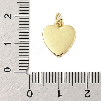 Rack Plating Brass Enamel Charms KK-Z074-09G-1