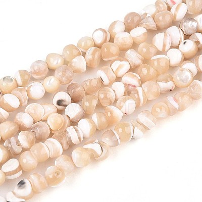 Natural Trochid Shell/Trochus Shell Beads Strands SSHEL-N040-10-1