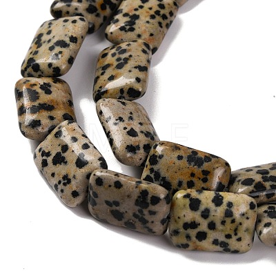 Natural Dalmatian Jasper Beads Strands G-T047-B16-01-1