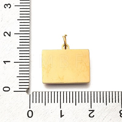 Pride 304 Stainless Steel Enamel Pendants LS-STAS-B079-01G-13-1