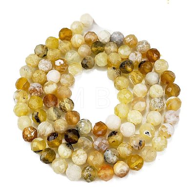 Natural Yellow Opal Beads Strands G-L597-C05-02-1