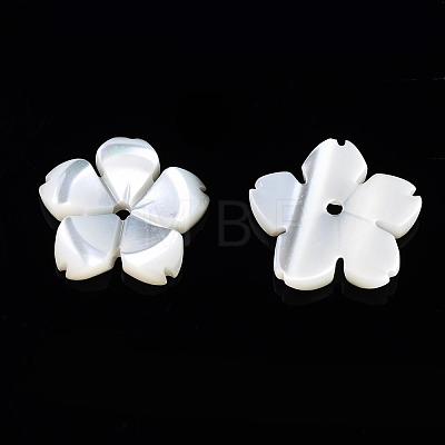 Natural White Shell Beads SSHEL-S260-025-1