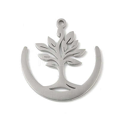 304 Stainless Steel Pendants LS-STAS-V016-21P-1