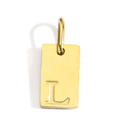 304 Stainless Steel Pendants STAS-Z143-01G-L-1