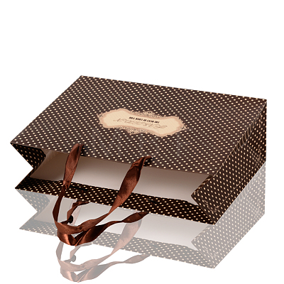 Rectangle Polka Dot Paper Bags CARB-F001-15E-1