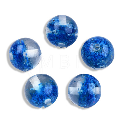 Transparent Resin Beads RESI-N034-01-G04-1