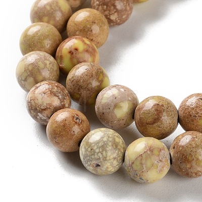 Dyed Natural Regalite/Imperial Jasper/Sea Sediment Jasper Beads Strands G-B124-C01-08-1