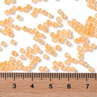 Glass Seed Beads X-SEED-S042-13A-05-1