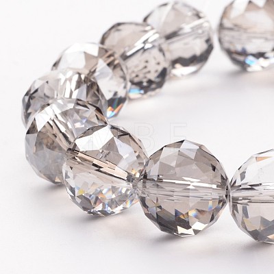 Electroplate Glass Bead Strands EGLA-J140-PL02-14mm-1