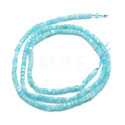 Natural Amazonite Beads Strands G-P457-B01-34-1