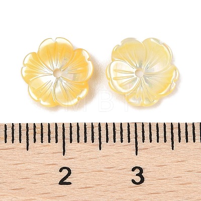 Natural Yellow Shell Carved Beads SSHEL-I026-12A-01-1