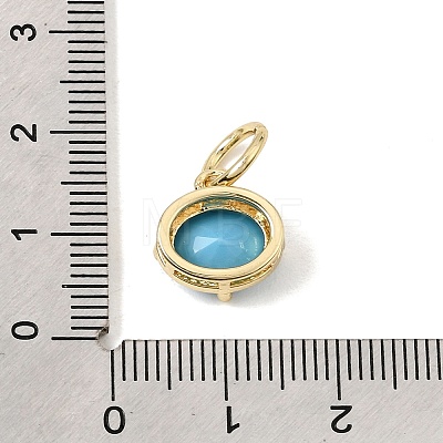Brass Pave Cubic Zirconia Charms KK-CBA960E-09A-G-1