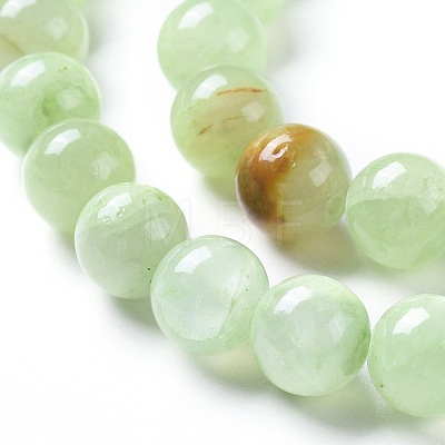 Natural Prehnite Beads Strands G-I261-E03-10mm-1