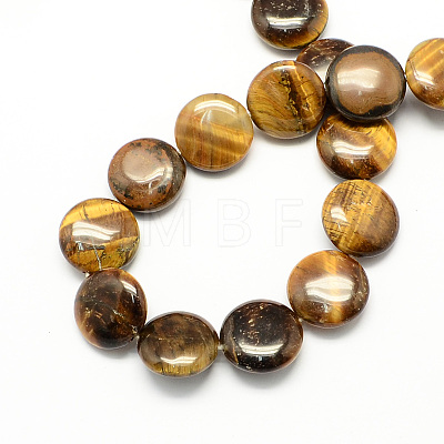 Natural Tiger Eye Stone Bead Strands G-S110-15-1
