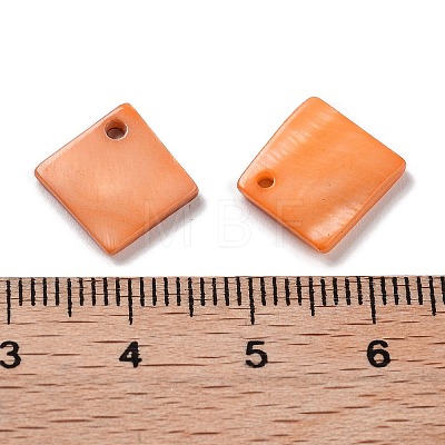 Natural Freshwater Shell Dyed Pendants SHEL-D082-17D-1