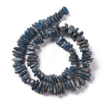 Natural Kyanite Beads Strands G-F719-09-1