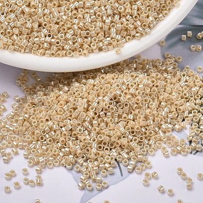 MIYUKI Delica Beads SEED-MY11-DB1561-1