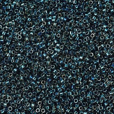 MIYUKI Delica Beads X-SEED-J020-DB1006-1