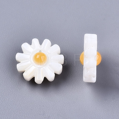 Natural Freshwater Shell Beads SHEL-S266-14A-01-1