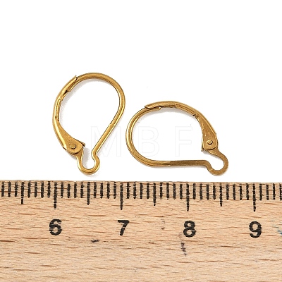 Ion Plating(IP) 304 Stainless Steel Leverback Earring Findings LS-STAS-K233-04G-01A-1