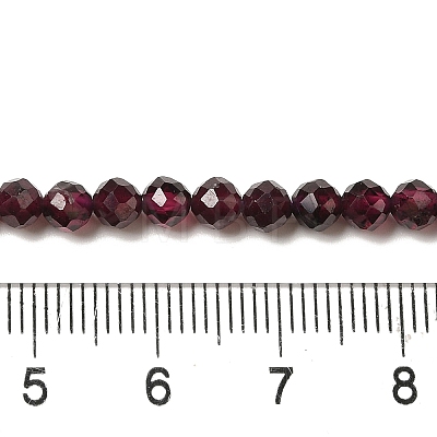 Natural Garnet Beads Strands G-F460-28-01-1