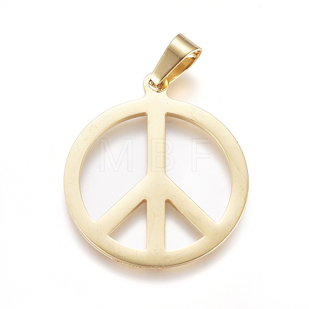 304 Stainless Steel Pendants STAS-F239-13G-1