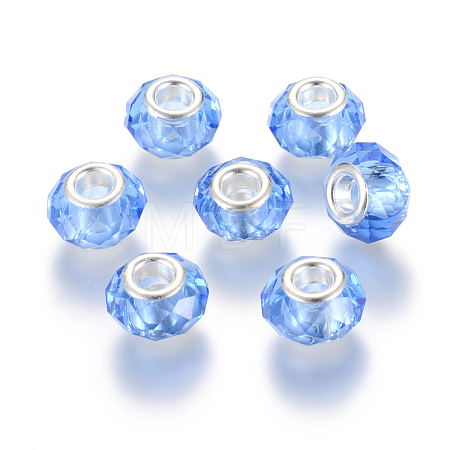 Handmade Glass European Beads GPDL25Y-22-1