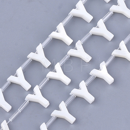 Natural Freshwater Shell Beads SHEL-T012-59Y-1