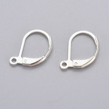 304 Stainless Steel Leverback Earring Findings STAS-H434-51S-1
