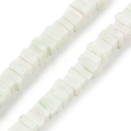 Handmade Lampwork Beads Strands LAMP-Q037-02B-19-1