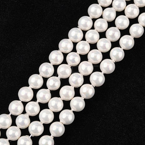 Shell Bead Strands BSHE-R146-6mm-02-1