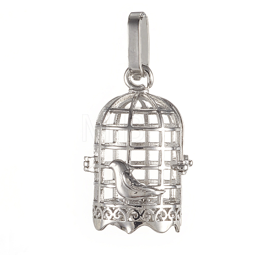 Brass Cage Pendants KK-K163-20P-NR-1