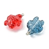 Spray Painted Transparent Glass Pendants PALLOY-JF05405-2