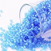 TOHO Round Seed Beads SEED-JPTR11-0003BF-1