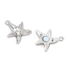 Starfish Brass Micro Pave Clear Cubic Zirconia Magnetic Clasps KK-C251-10P-2