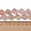 Frosted Handmade Lampwork Beads Strands LAMP-A010-01G-4