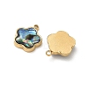 Natural Paua Shell Pendants STAS-G397-12G-02-2