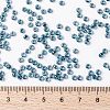MIYUKI Round Rocailles Beads X-SEED-G008-RR0339-4