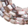 Natural Botswana Agate Beads Strands G-A314-A01-01-4