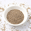 MIYUKI Delica Beads SEED-X0054-DB1731-2