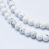 Natural Howlite Beads Strands X-G-P353-01-6mm-3